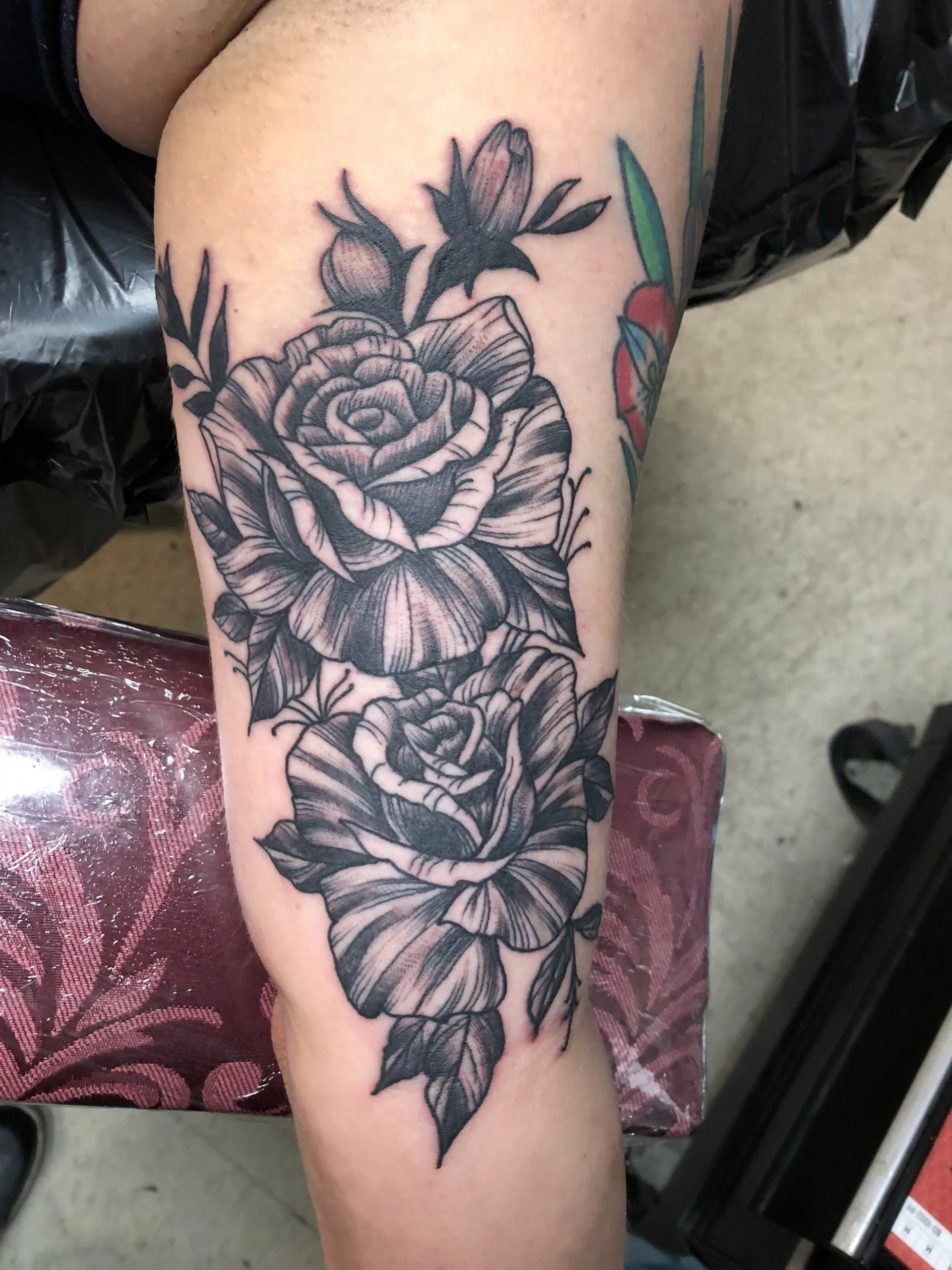 Black and grey leg tattoo of two full roses with layered petals and botanical leaves